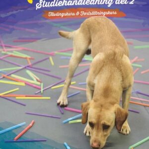 Nosework : studiehandledning. Del 2, Tävlingskurs & avancerad kurs