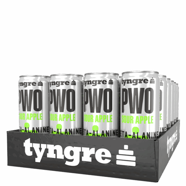 24 x Tyngre PWO 250 ml