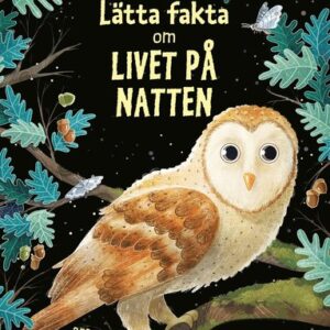 Lätta fakta om livet på natten