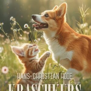 Kraschkurs