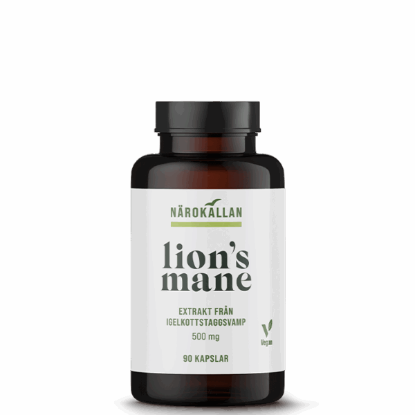 Lions Mane 500 mg 90 kapslar