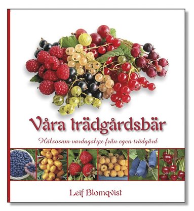 Vra trdgrdsbr : hlsosam vardagslyx frn egen trdgrd