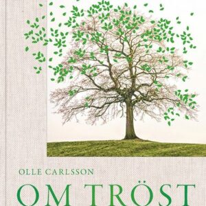 Om tröst : hopp och livsmod