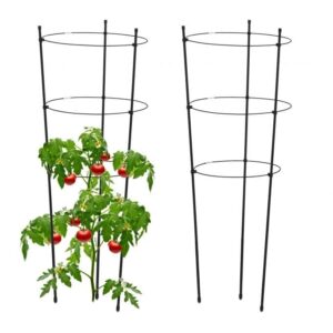 Växtstöd 76 cm svart, set om 2