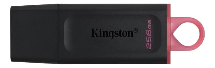 Kingston 256GB USB3.2 Gen1 DataTraveler Exodia (Black + Pink)