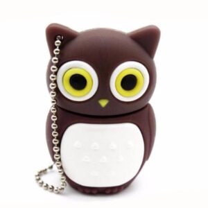 USB-minne 32 GB - Uggla Brun