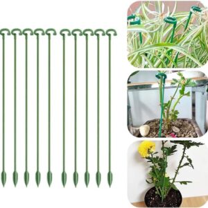 Växtstöd Blompinnar Krukstöd för Växter & Blommor, 10-Pack