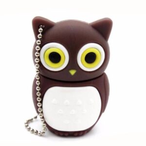 USB-minne 32 GB - Uggla Brun