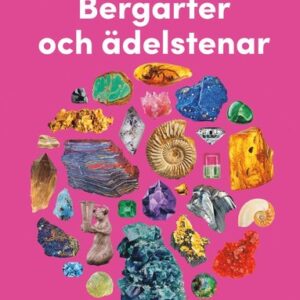 Upptäck bergarter och ädelstenar : utforska naturens skatter