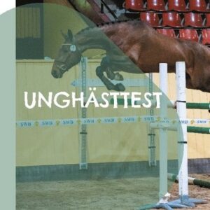 Unghästtest