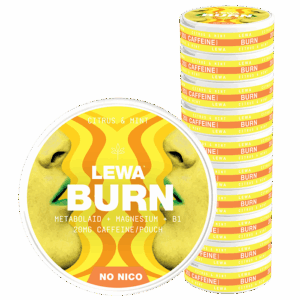 10 x LEWA Functional NoNico BURN Citrus/Mint