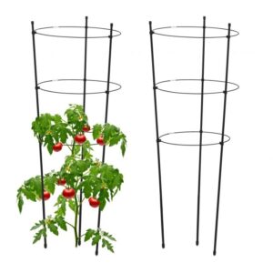 Växtstöd 76 cm svart, set om 2