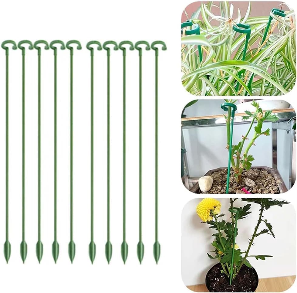 Växtstöd Blompinnar Krukstöd för Växter & Blommor, 10-Pack