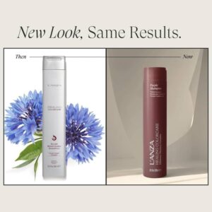 Lanza Healing ColorCare Silver Brightening Shampoo 300 ml - Blont & Silver