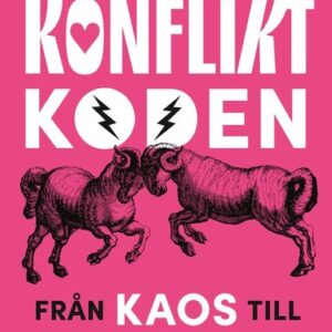 Konfliktkoden : från kaos till klarhet