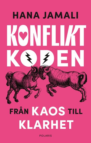 Konfliktkoden : frn kaos till klarhet