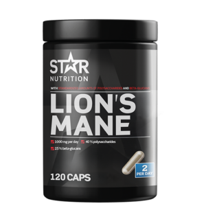 Lion's Mane 120 kapslar