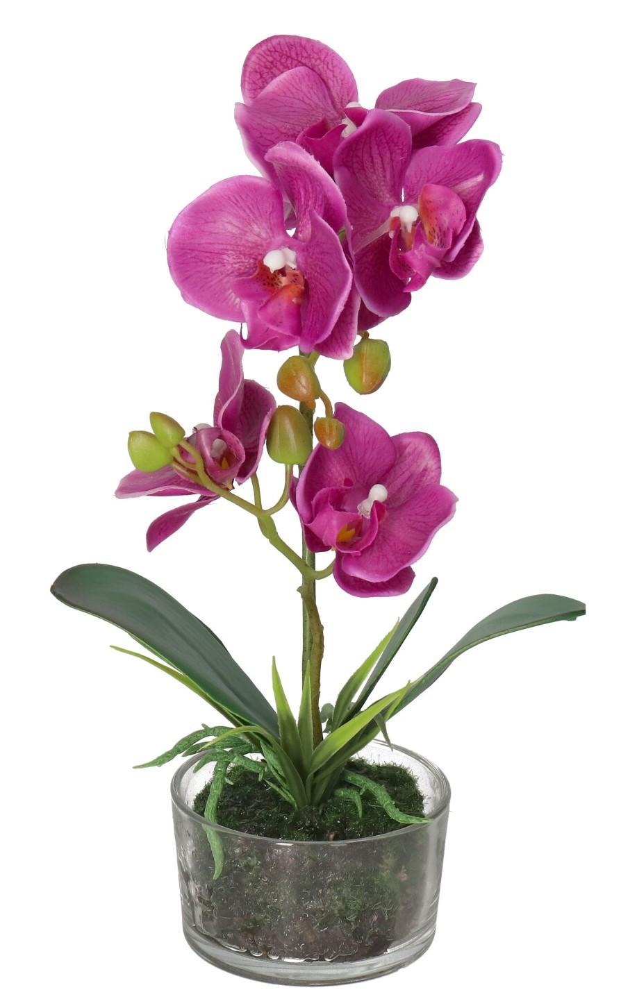 KONSTGJORDA ORKIDEBLOMMOR I PREMIUMKRUKA
