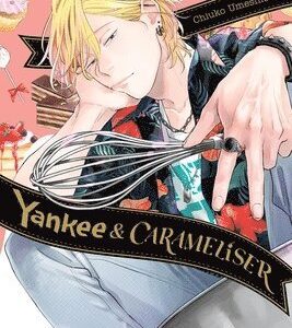 Yankee & Carameliser (manga)