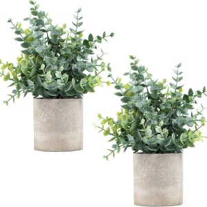 OBOSOE 2-Pack Små Konstgjorda Växter med Kruka – Eukalyptus för Hylla, Skrivbord, Badrum & Inredning