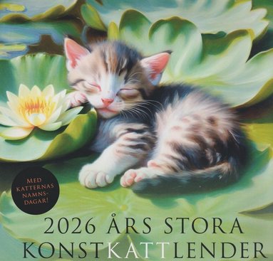 2026 rs stora konstkattlender