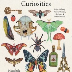 Watercolor Cabinet of Curiosities