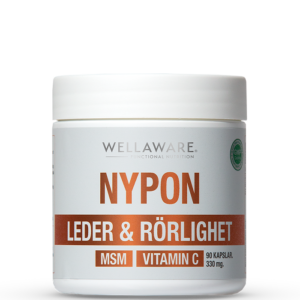 Nypon MSM Vitamin C 90 Kapslar