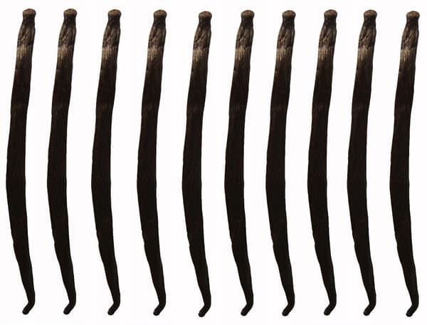 VANILJSTÄNGER 10 ST 10-14 cm Vaniljstång KVALITET 1 FRÄSCHA, FUKTIGA STÄNGER